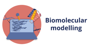 Biomolecular modelling