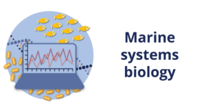 Marine systems biology