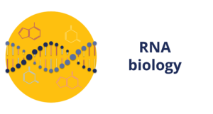 RNA biology